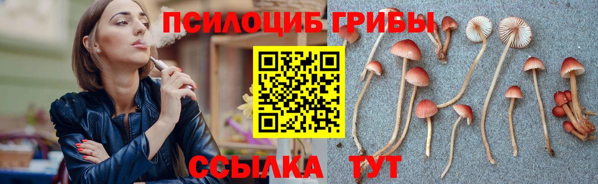 Комсомольск-на-Амуре  Галлюциногенные грибы прущие грибы  Вход с VPN 
